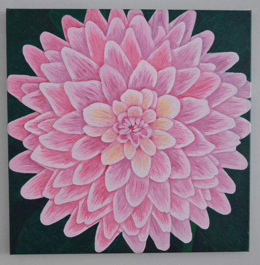 "Pink Dahlia" acrylic painting