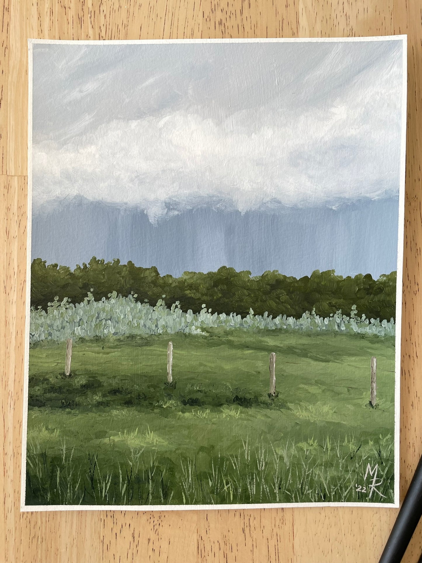 "Afternoon Storm" acrylic painting
