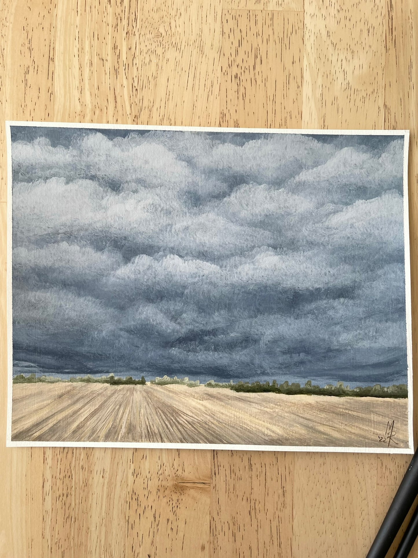 "Storm Approaching" acrylic painting