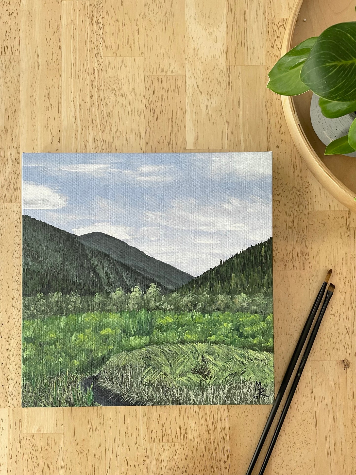 "Mountain Valley" acrylic painting on canvas